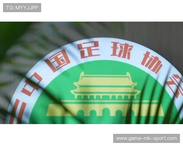 俱乐部主席资本运作曝光，足球与商业更深绑定