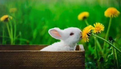 MK手机客户端-蝶泳50米划频冠军仅用24次，蝶泳50米记录